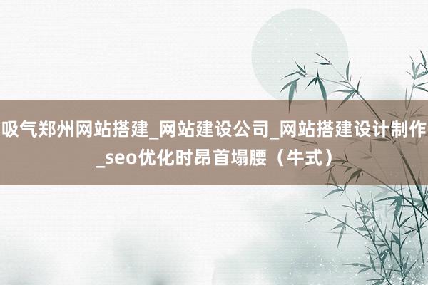 吸气郑州网站搭建_网站建设公司_网站搭建设计制作_seo优化时昂首塌腰（牛式）
