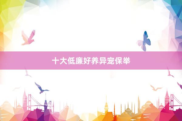 十大低廉好养异宠保举