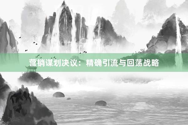 营销谋划决议：精确引流与回荡战略
