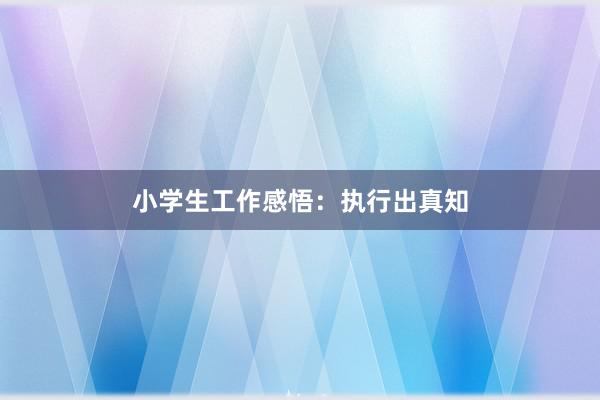 小学生工作感悟：执行出真知